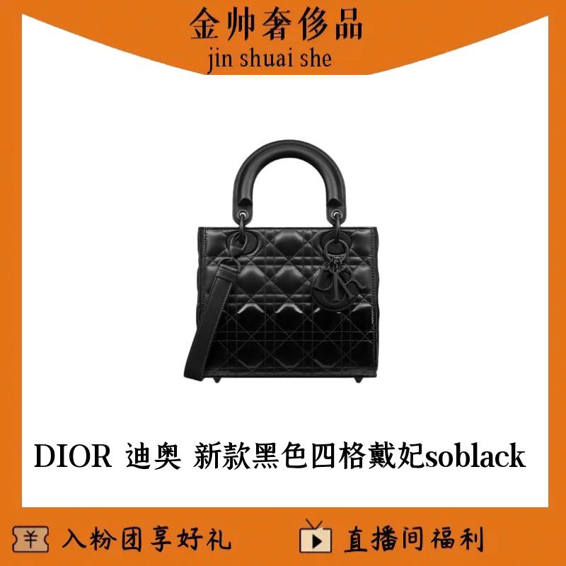 99新 DIOR/迪奥 黑色/磨砂拼漆/四格戴妃/soblack/单肩包/B5211