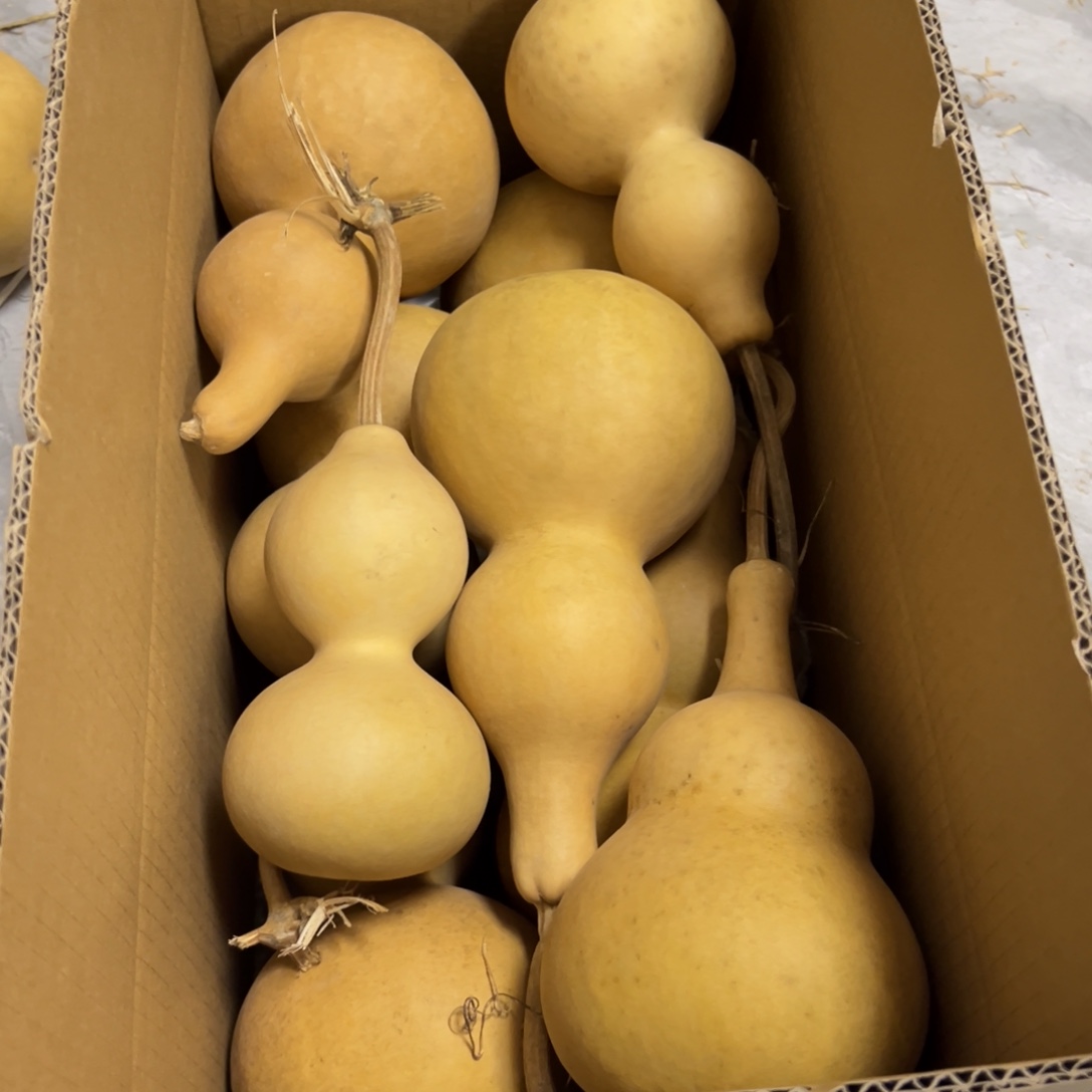 歌***生有机玻璃葫芦葫芦