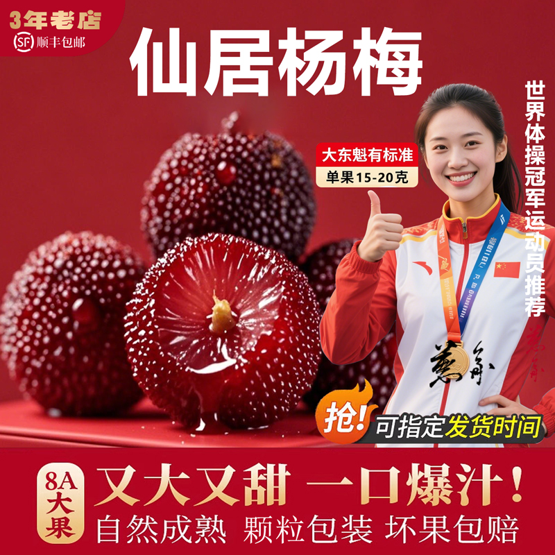 高山仙居东魁杨梅全规格现摘现发当季孕妇水果新鲜正宗特大杨梅
