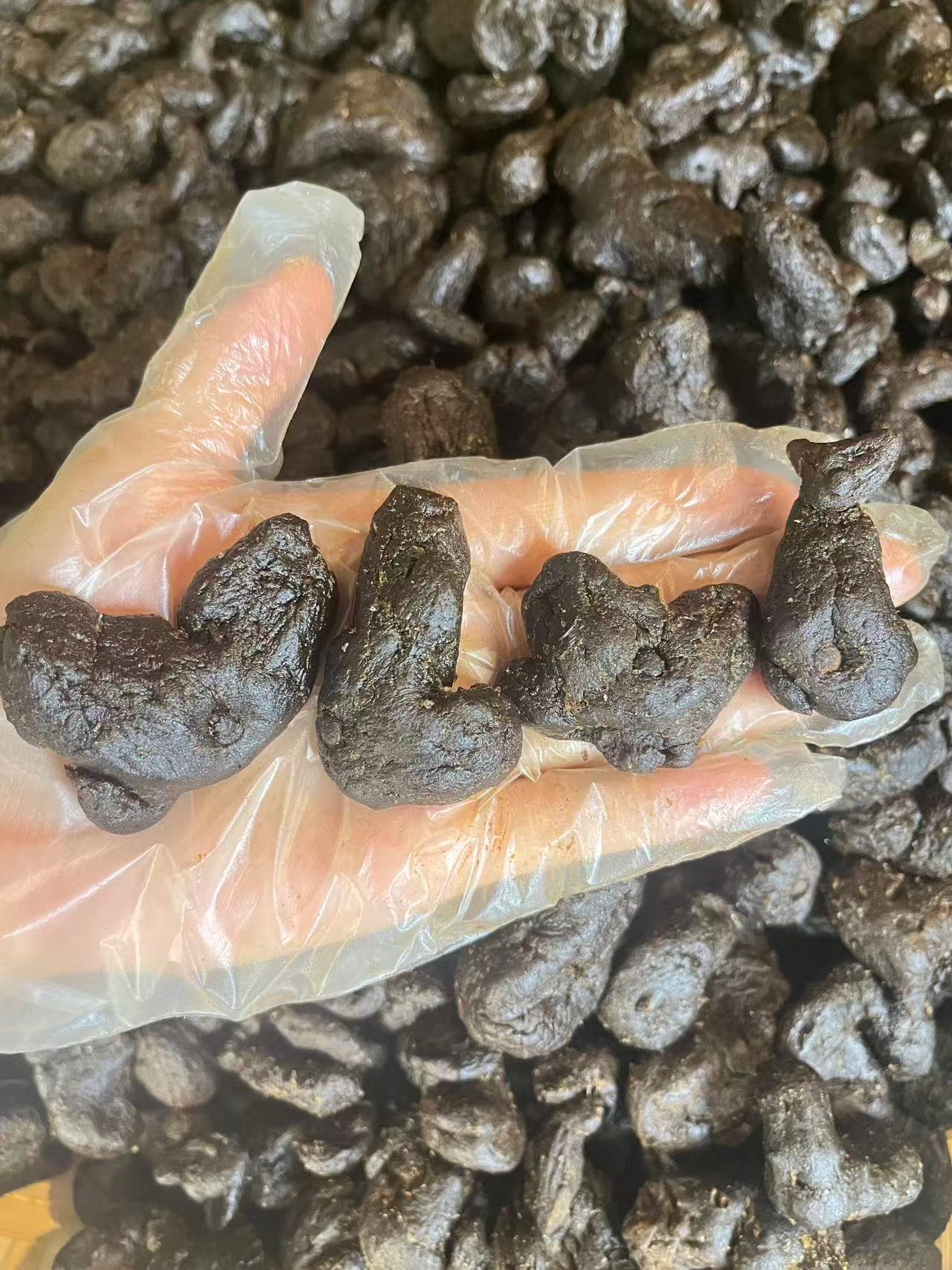 【滇野珍珠】柴火木甑子熟黄 珍珠岩黄  精 熟地黄搭配 