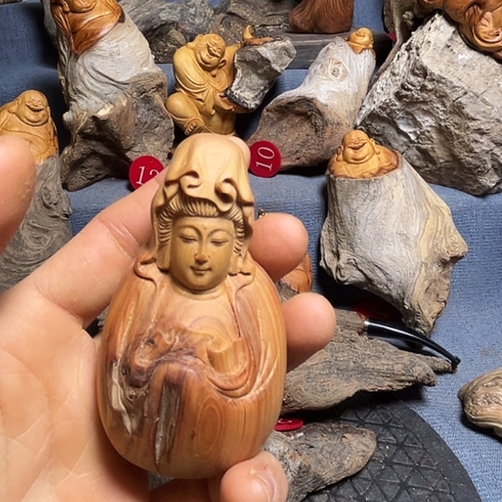 海***川太行崖柏上树枝的叶子