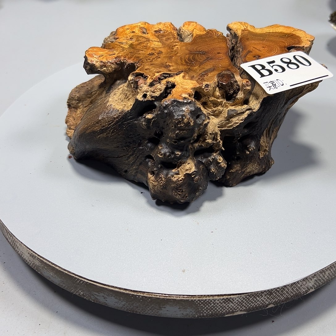 大果紫檀（缅甸花梨）?****悟