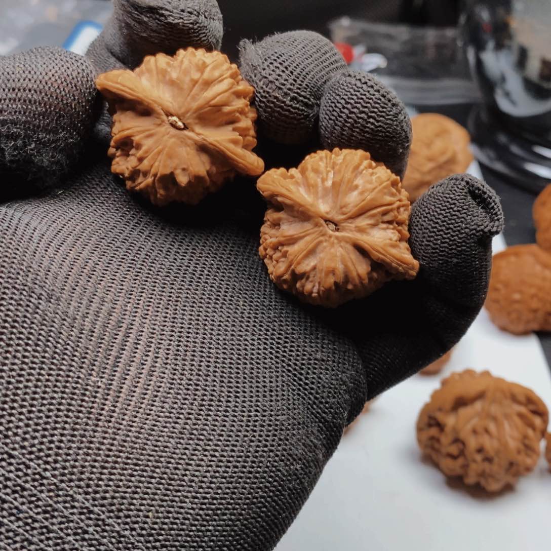 文玩核桃把件乐*士A018七步沟37