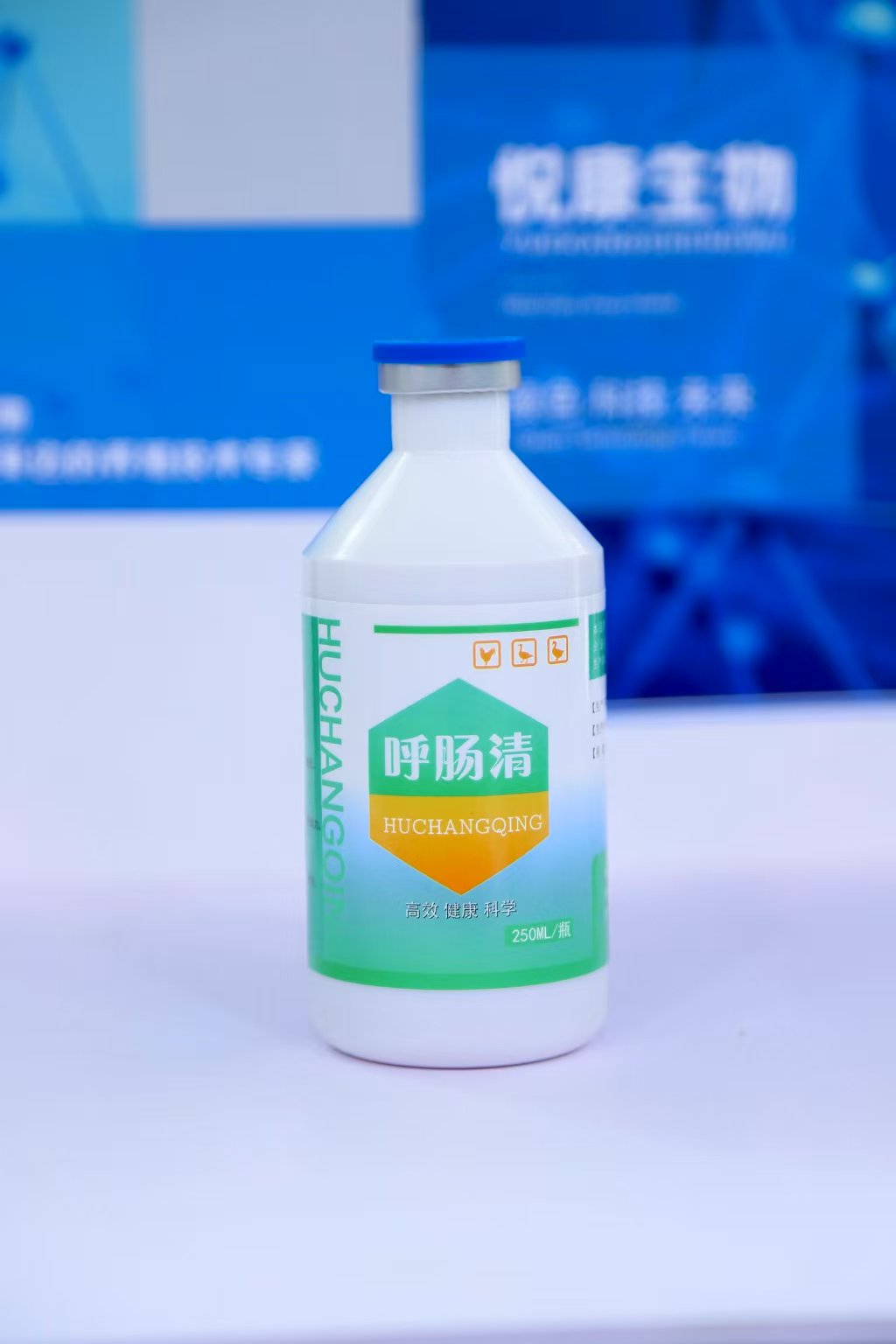 呼肠清鹅用呼肠孤