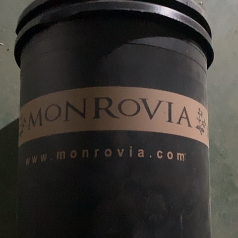 树脂老款5加仑黑色无托6个微瑕