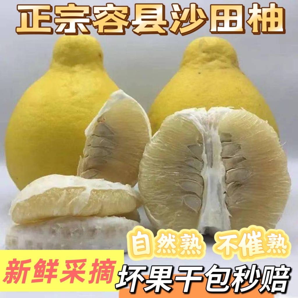 （精选果）正宗容县沙田柚蜜甜山顶老树果礼盒装4-15斤柚子纯甜