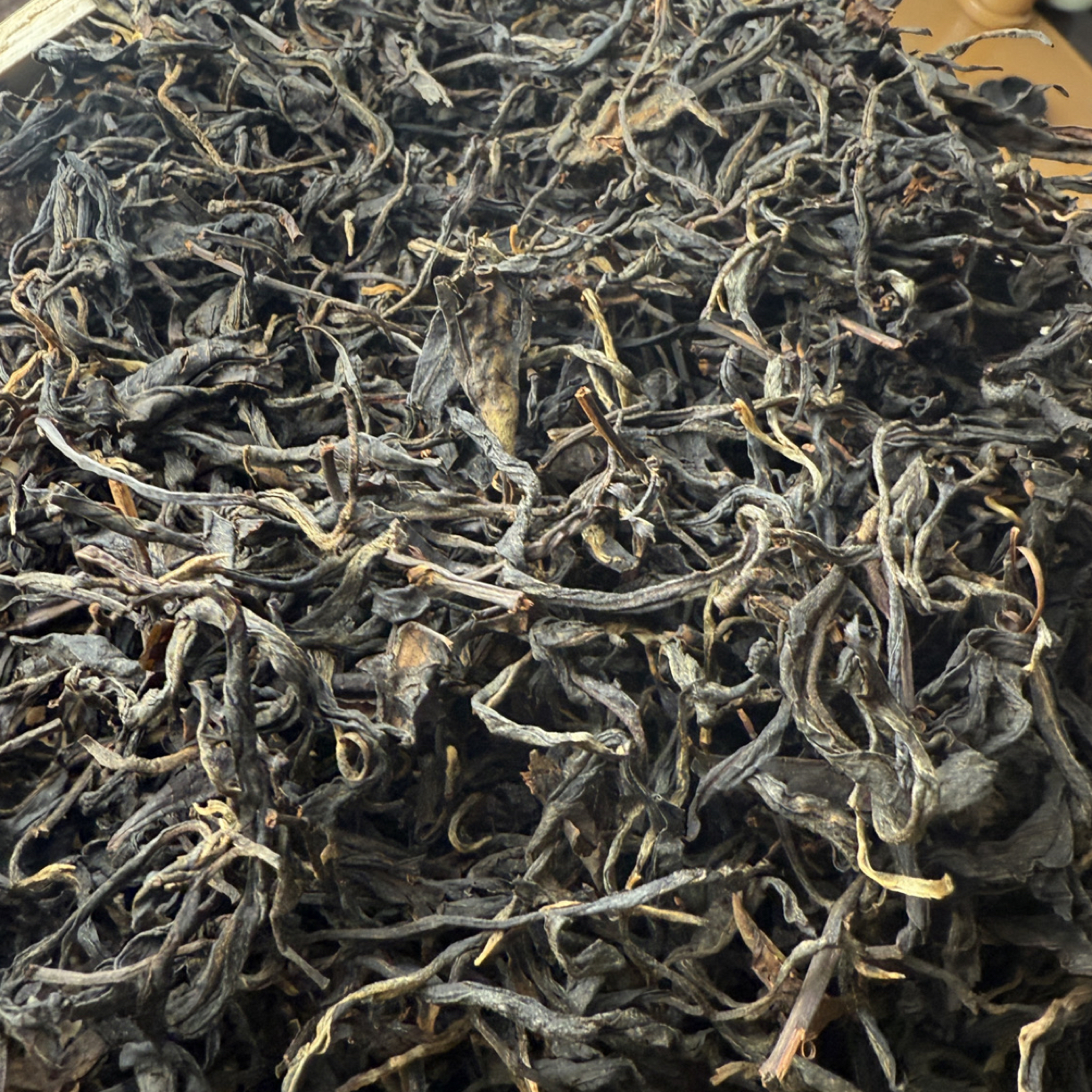 【临沧凤庆】25年小湾镇锦绣大叶种百年古树红晒红