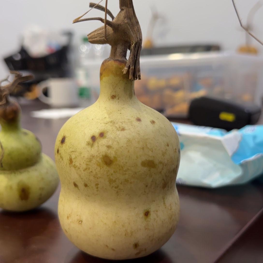 葫芦咯out了我吐jjmjjttjmm