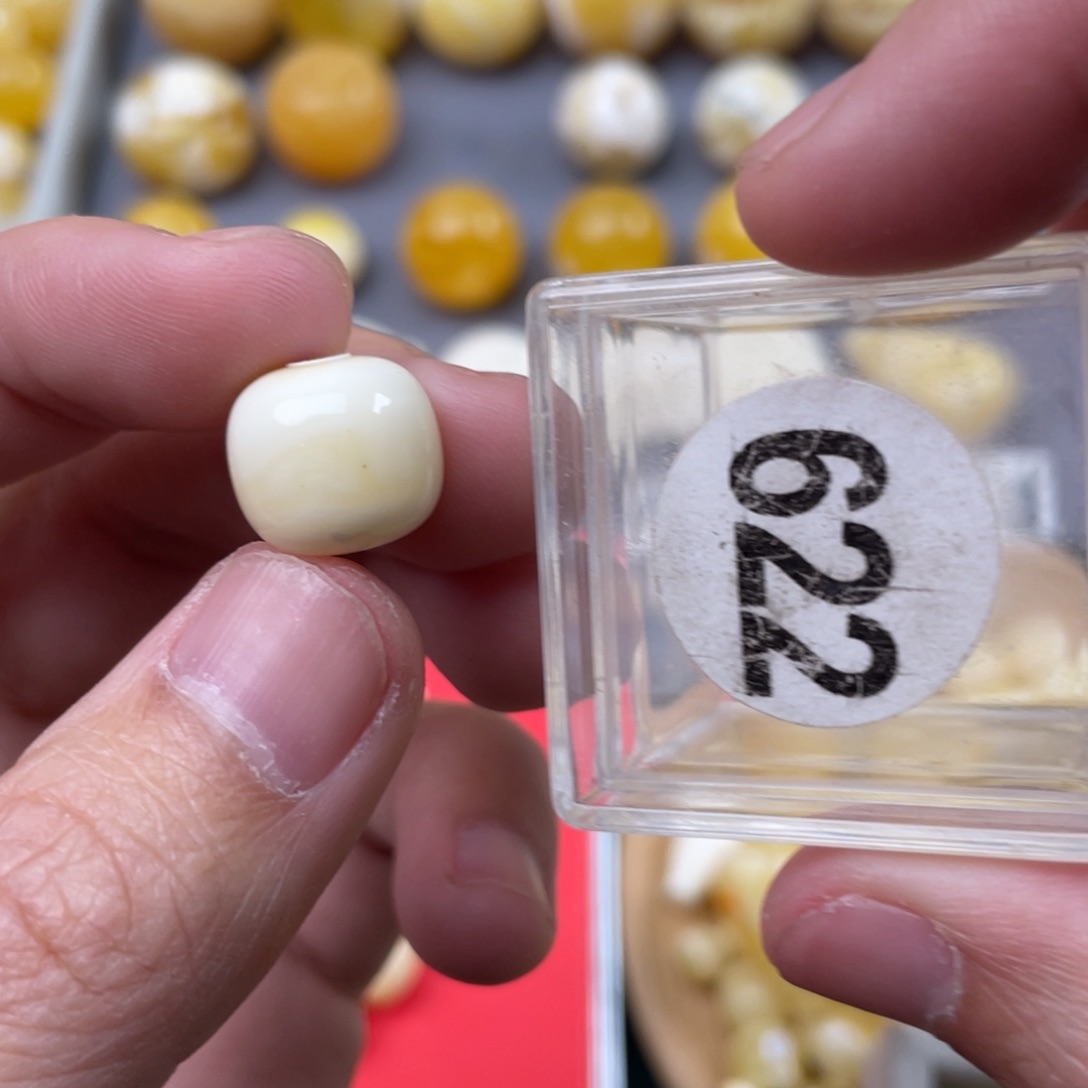 蜜蜡珠宝奇石未镶嵌