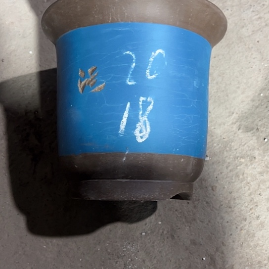 紫砂工艺厂……紫砂的感觉就是