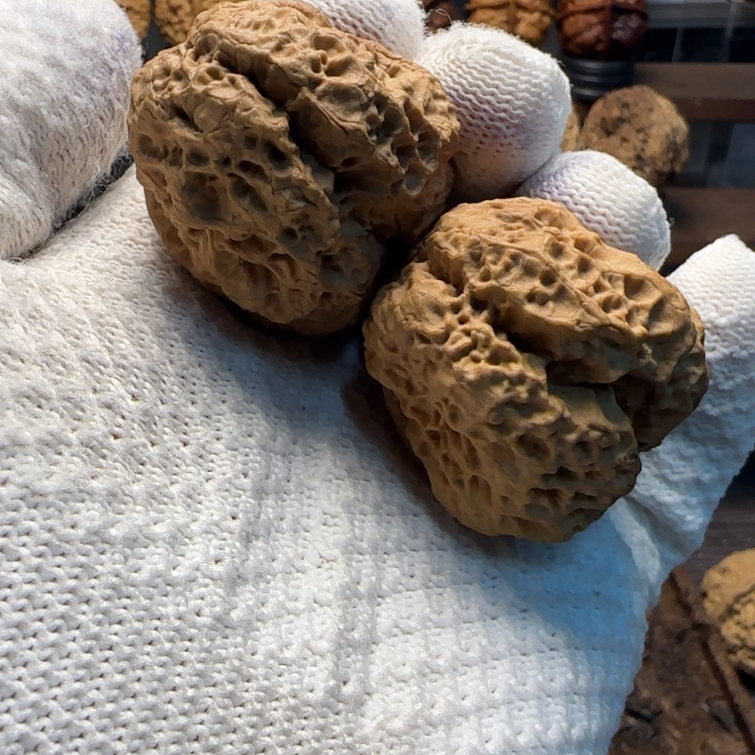 把件文玩核桃蛮荒古蟾