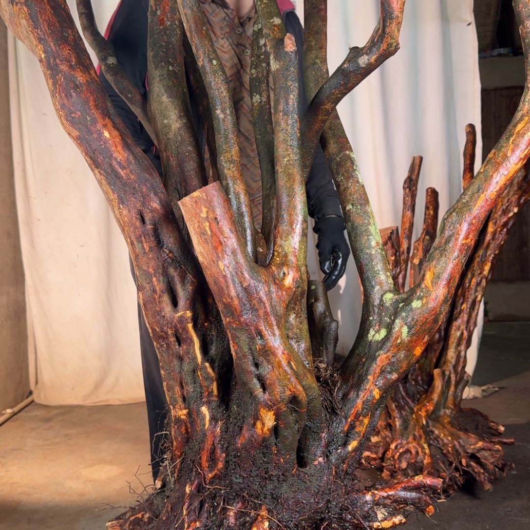 众***业78888888888888888