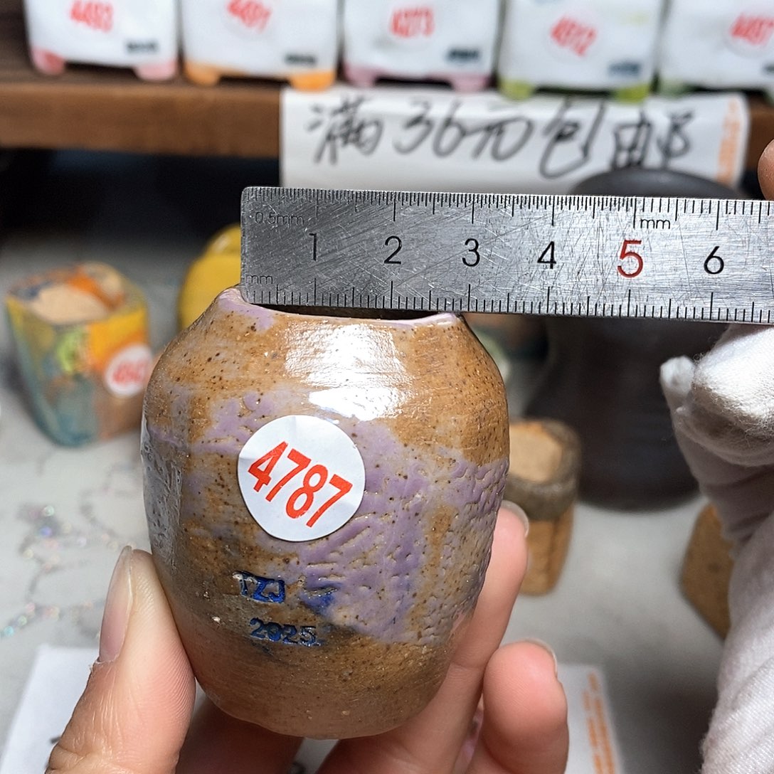 红陶拍5送一个小