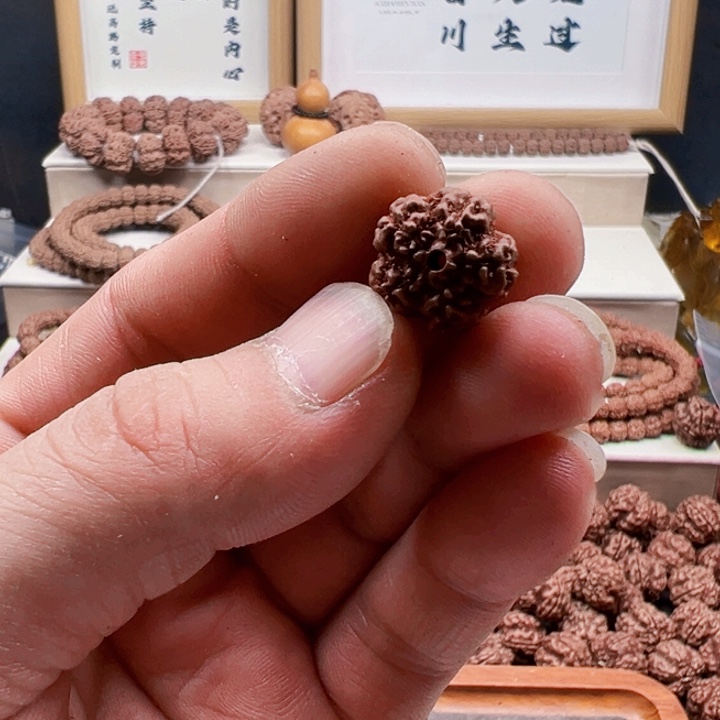 金刚菩提手串原生态霸王花17尺寸