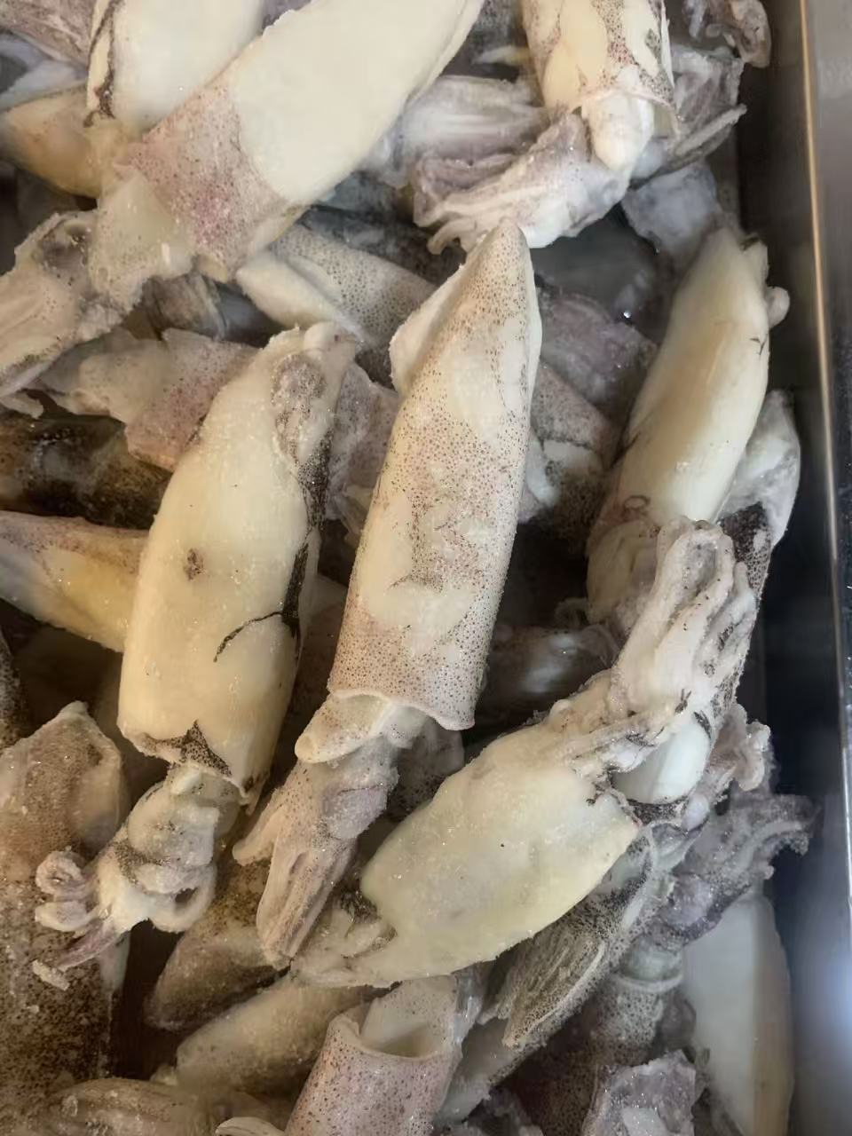 4斤鲜活速冻海捕野生渤海湾原浆海兔顺丰冷链包邮