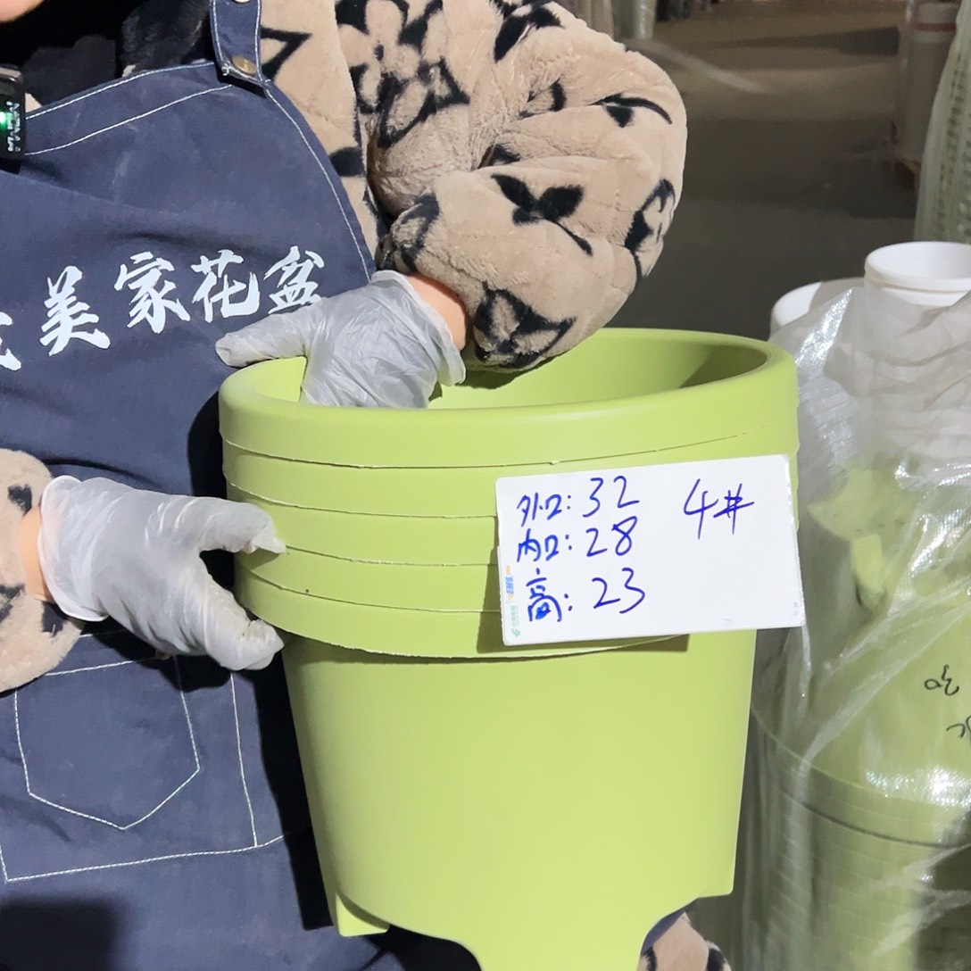 球根盆4#果绿色5个无托