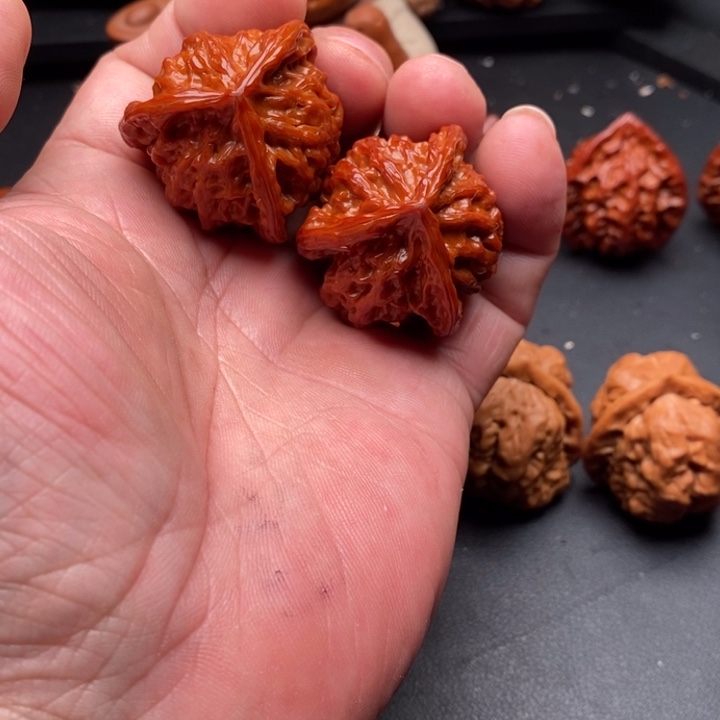 核桃༺***༻三棱核桃123