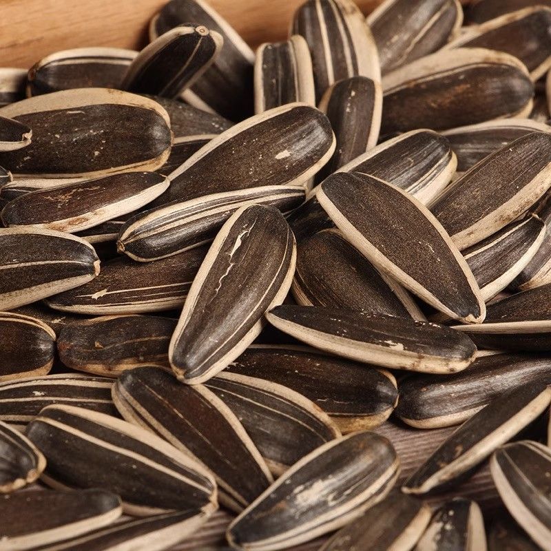 内蒙古新货原味熟瓜子大颗粒皮薄好磕追剧休闲零食