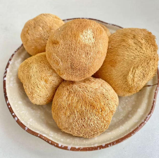 正宗猴头菇干货高山农家猴头菇K