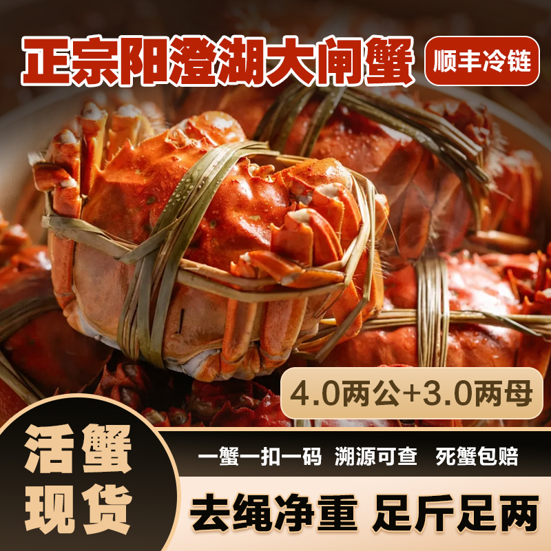 【正宗阳澄湖大闸蟹】活蟹4两公+3两母蟹8/10只塘养鲜活顺丰直发