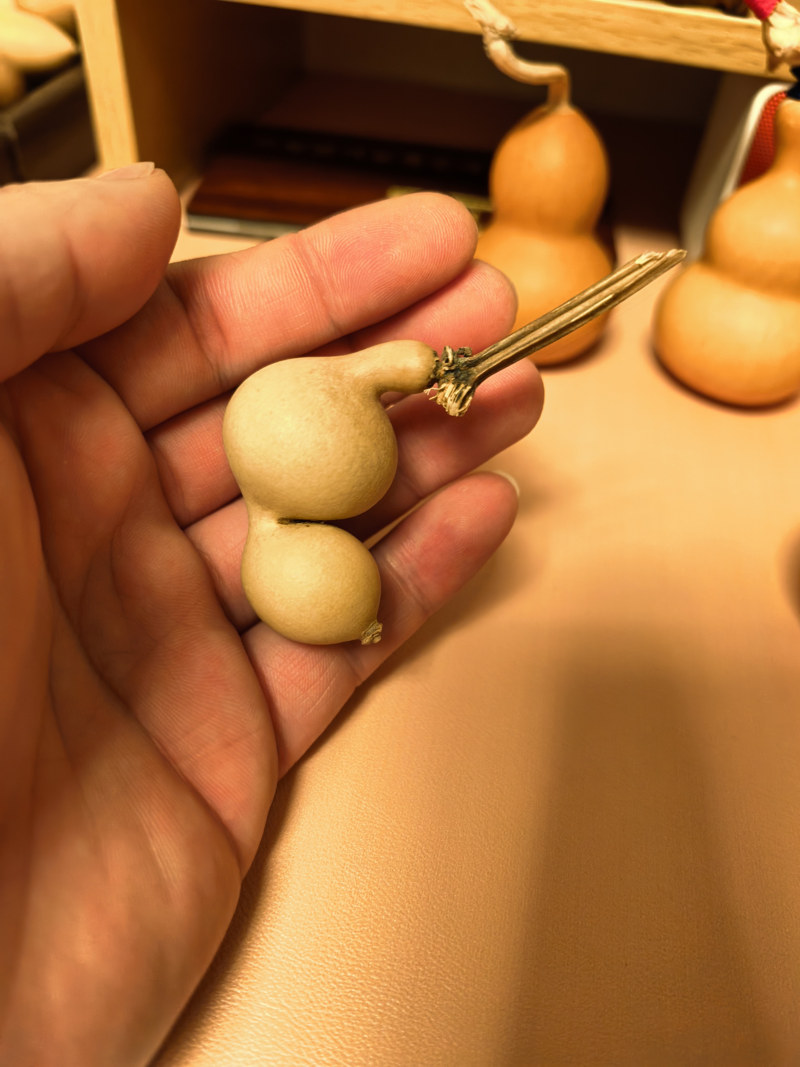 精品小葫芦（图片只提供链接）看好下单