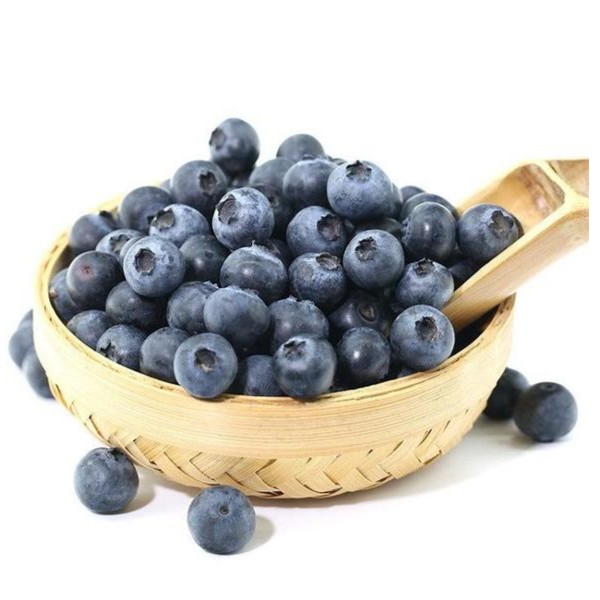 蓝莓中果20+云南省