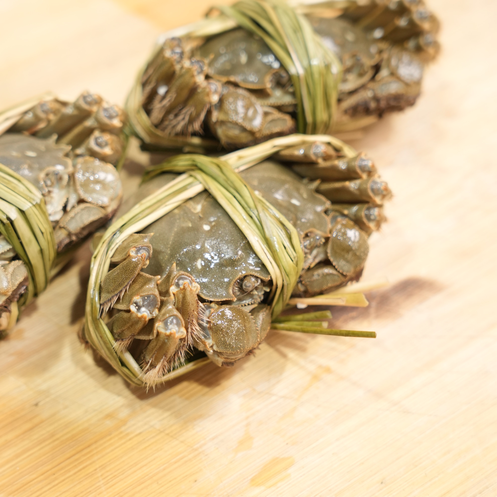 【活蟹】苏州精品大公 大闸蟹 4.8-5两/只 6只