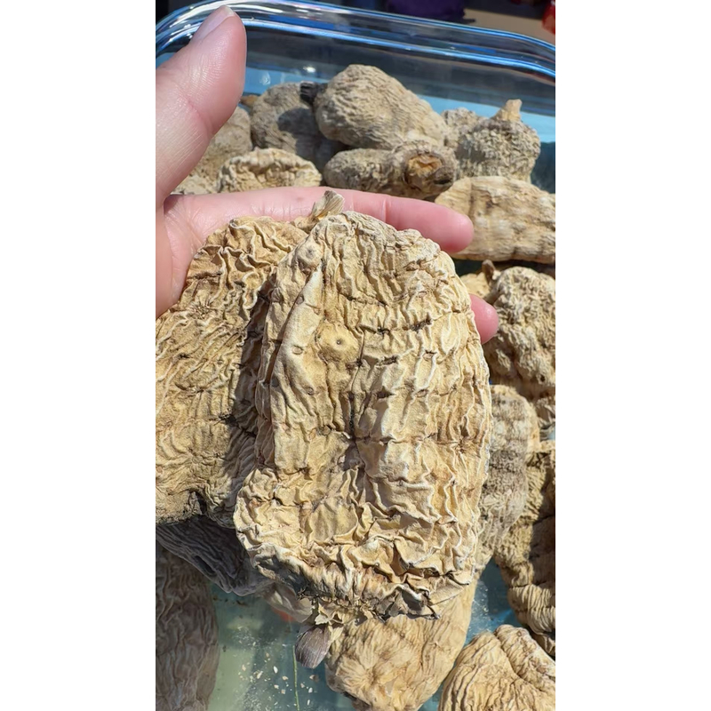 川西高原正宗自然生长干天麻 精选大个（不切片）