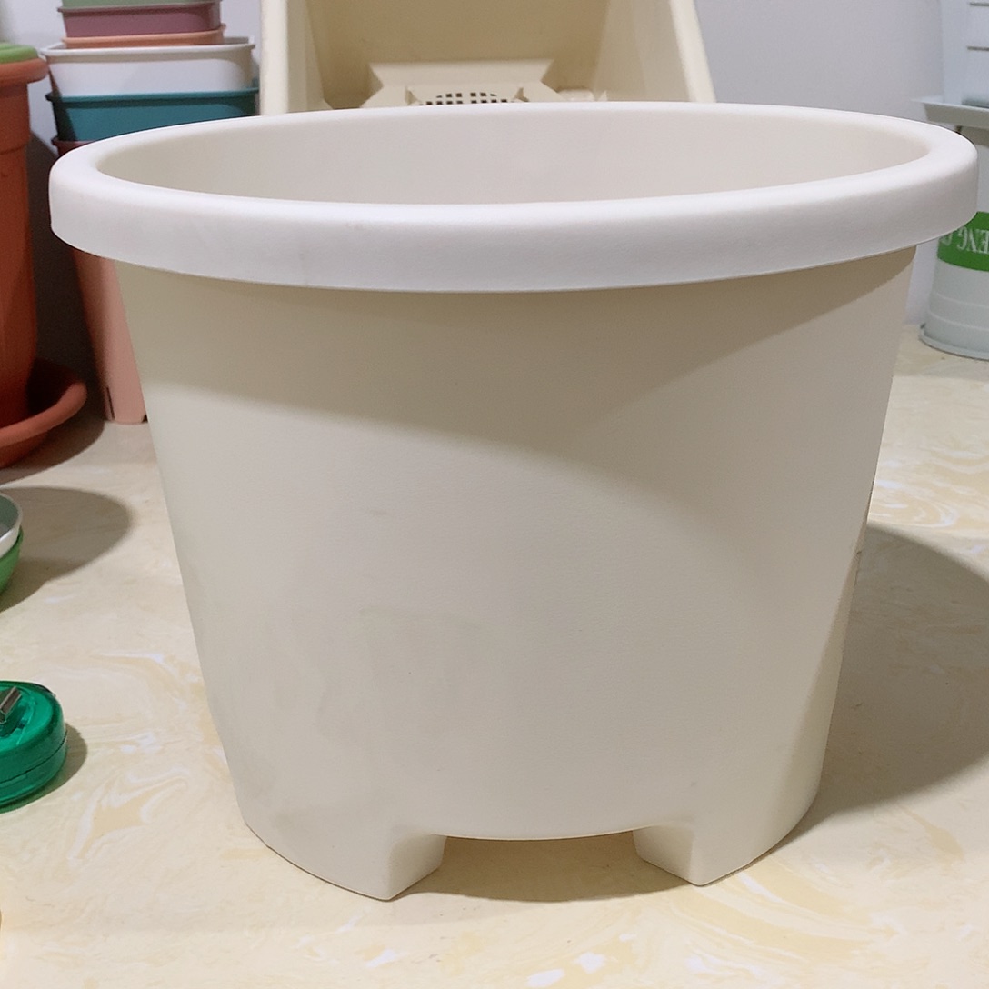 树脂球根口3米白10个无托