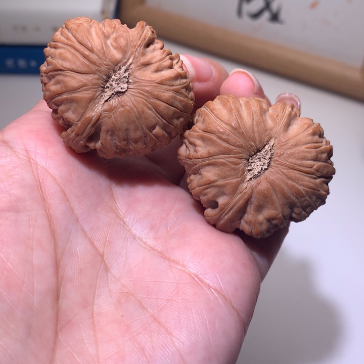 把件文玩核桃大小白狮子
