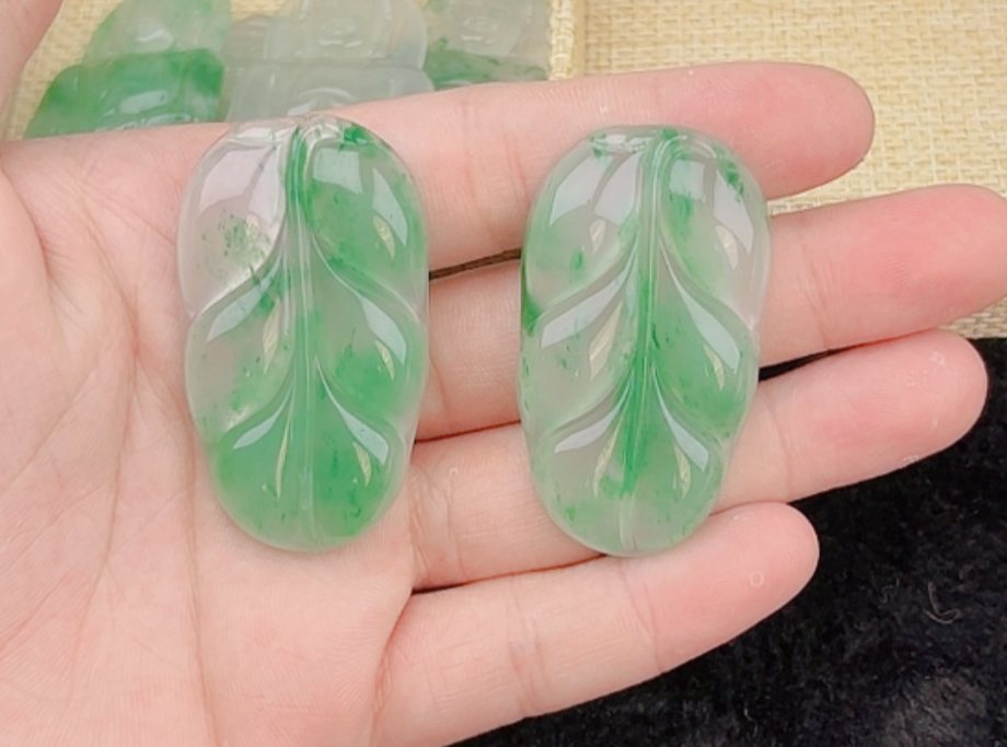 叶子 多样性发其1