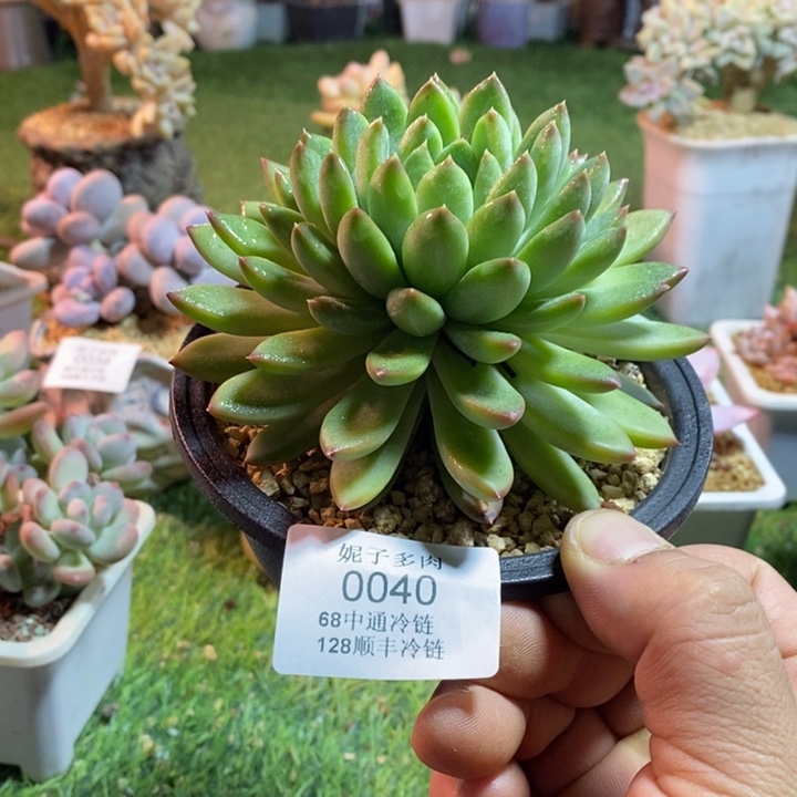 0040啊啊啊啊啊啊啊啊