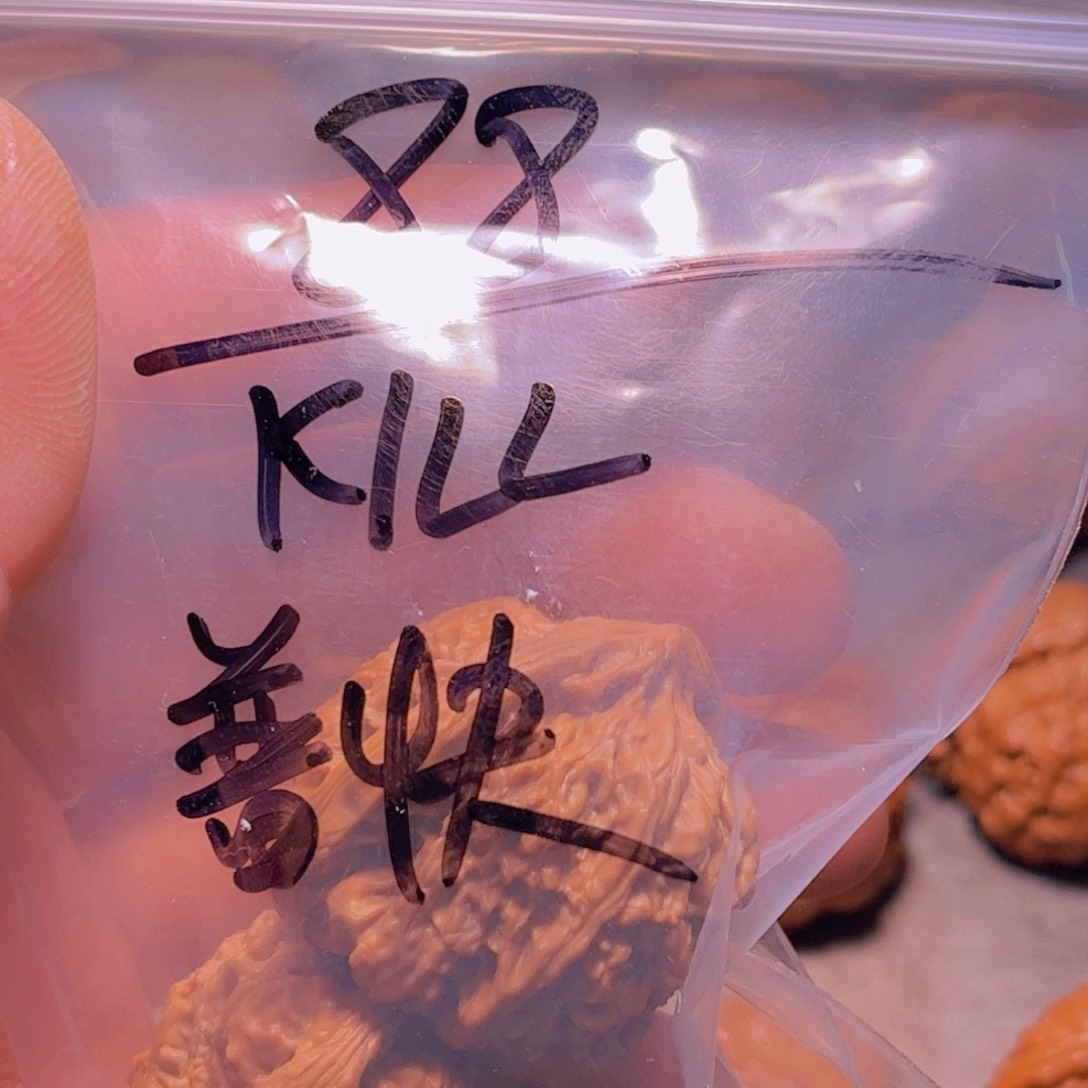 桃核把件K****Y36南疆石全品无修