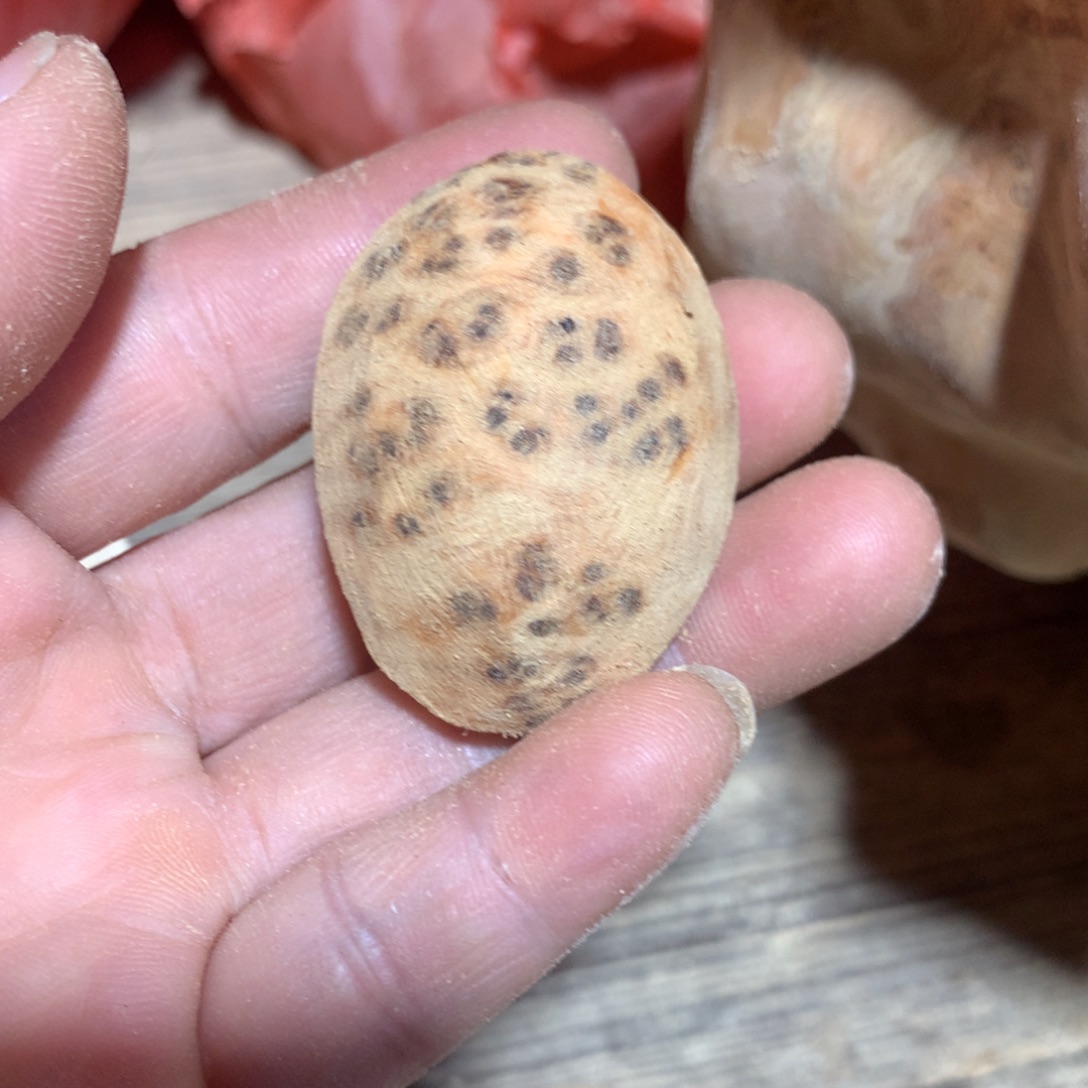 黑***黑柏木（崖柏）崖柏小富甲