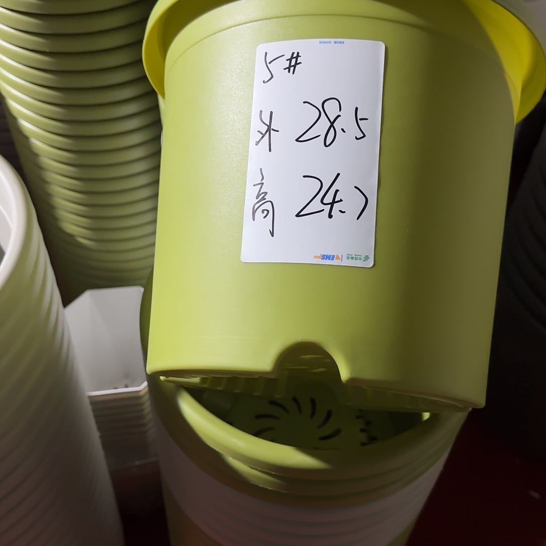 树脂四季5号无托6个果绿