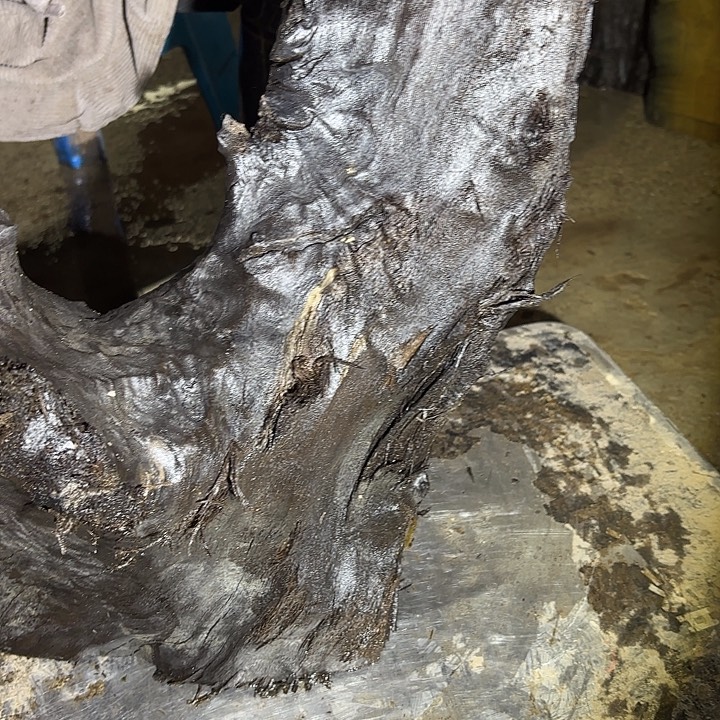 子***乐啊啊啊啊啊啊啊啊啊啊