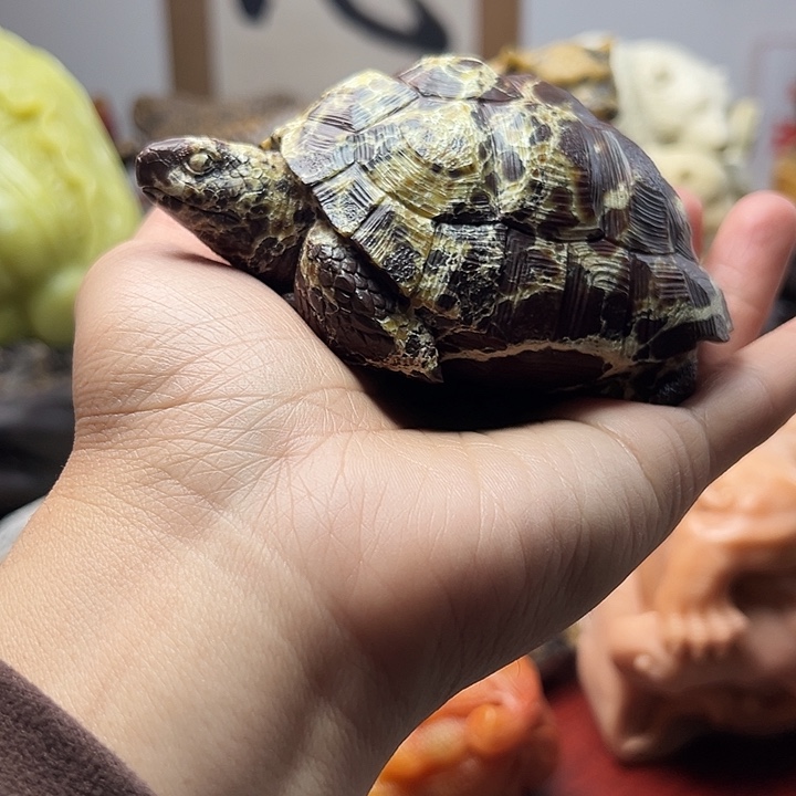 寿山石寿山石摆件