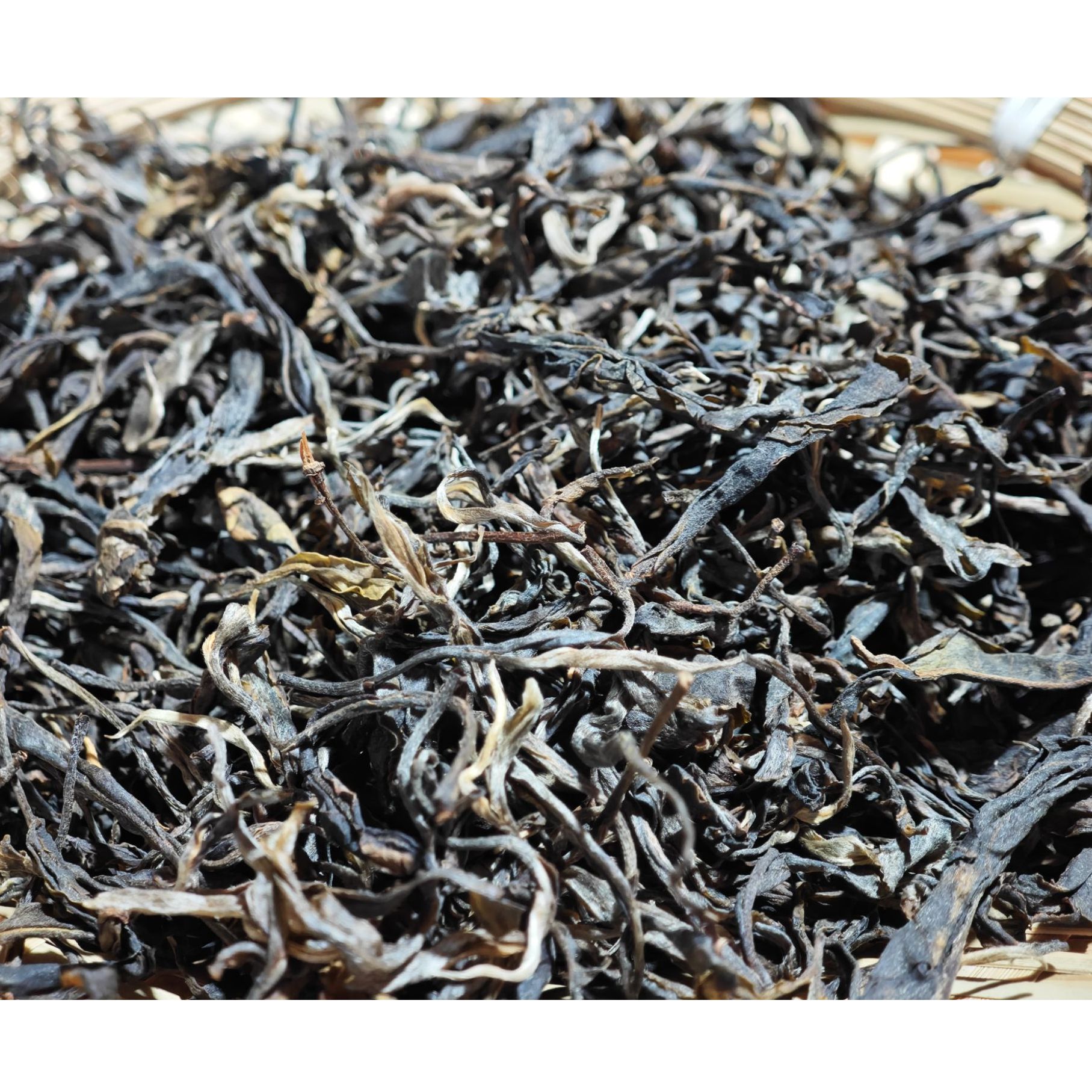 2024年缅甸果敢渣子树木质香烟香