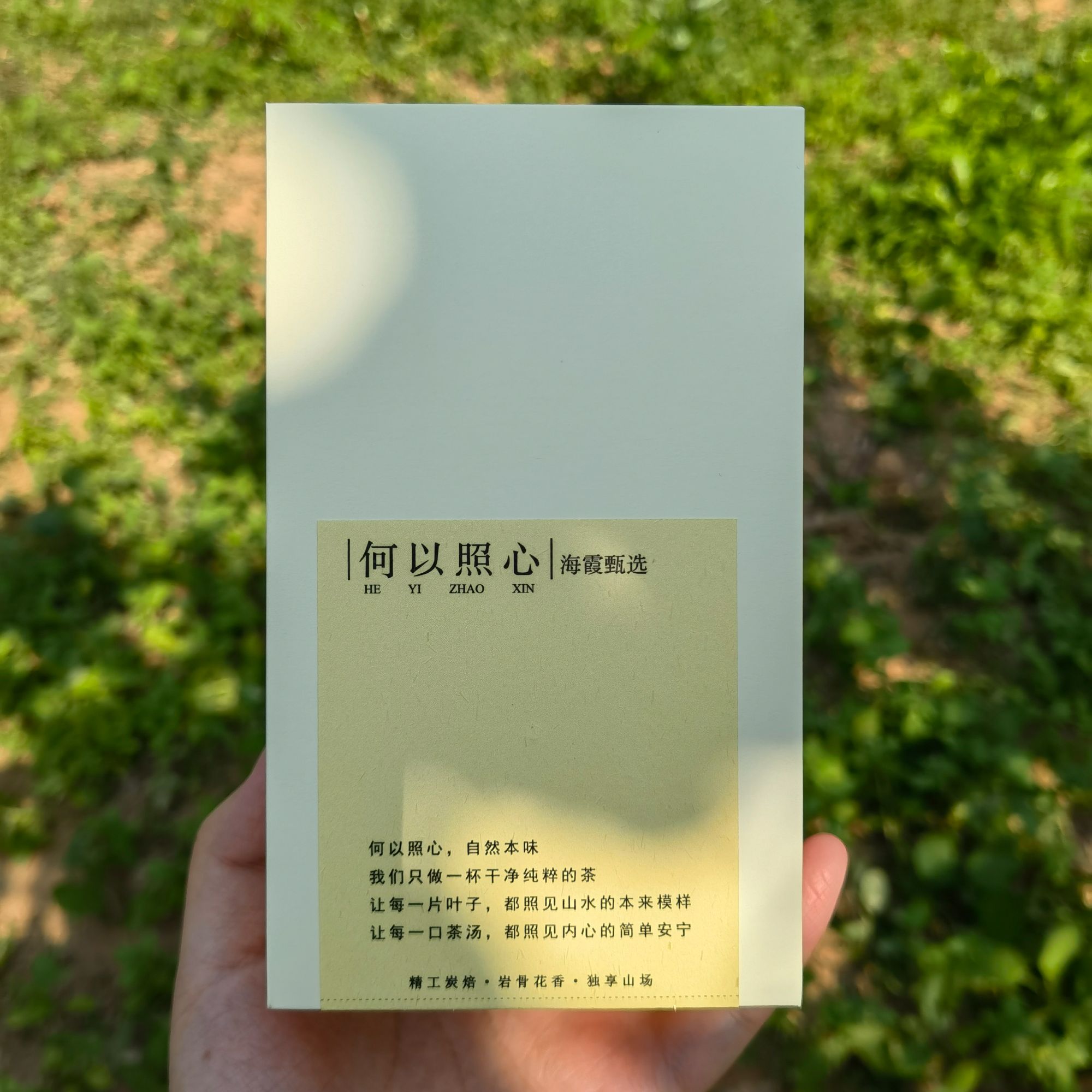 【海霞】蜜桃香燕子窠肉桂武夷山岩茶花果香桂皮味乌龙茶2025年