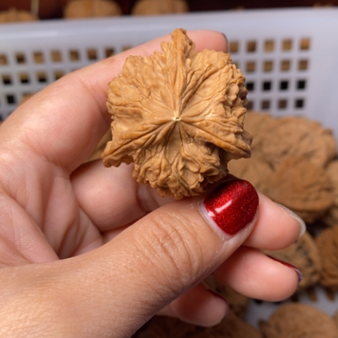 *****文玩核桃把件核桃