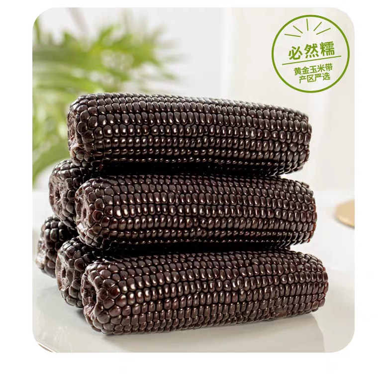 忻州甜糯玉米黑花组合8穗4.5-5斤新鲜山西省