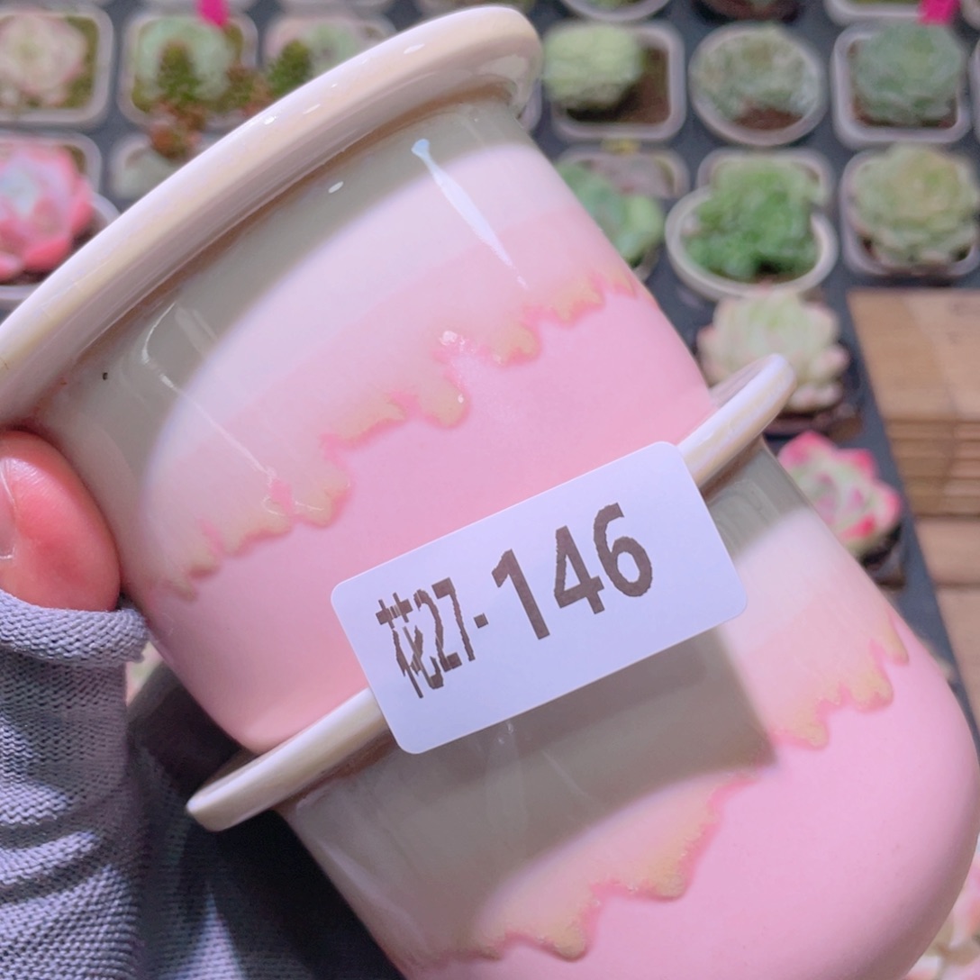花利美27-146花盆2个