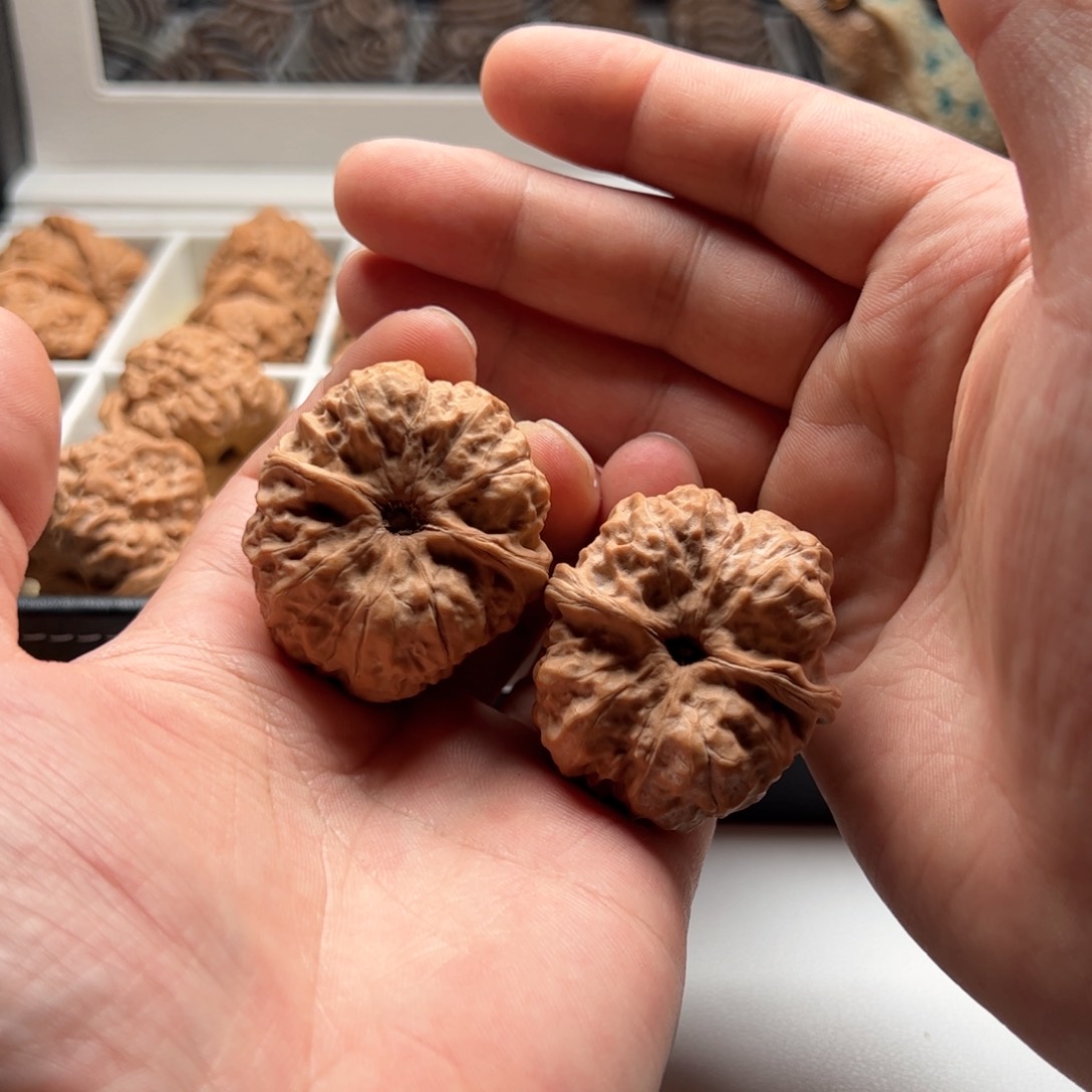 核桃把件国**林延庆蛤蟆头