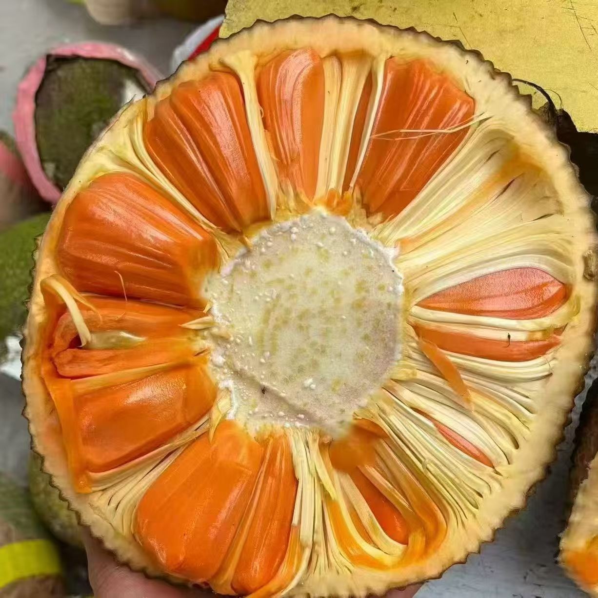 印尼红菠萝蜜（一物一拍）顺丰包邮红肉菠萝蜜越南社会主义共和国