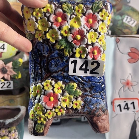 红陶多肉植物花盆