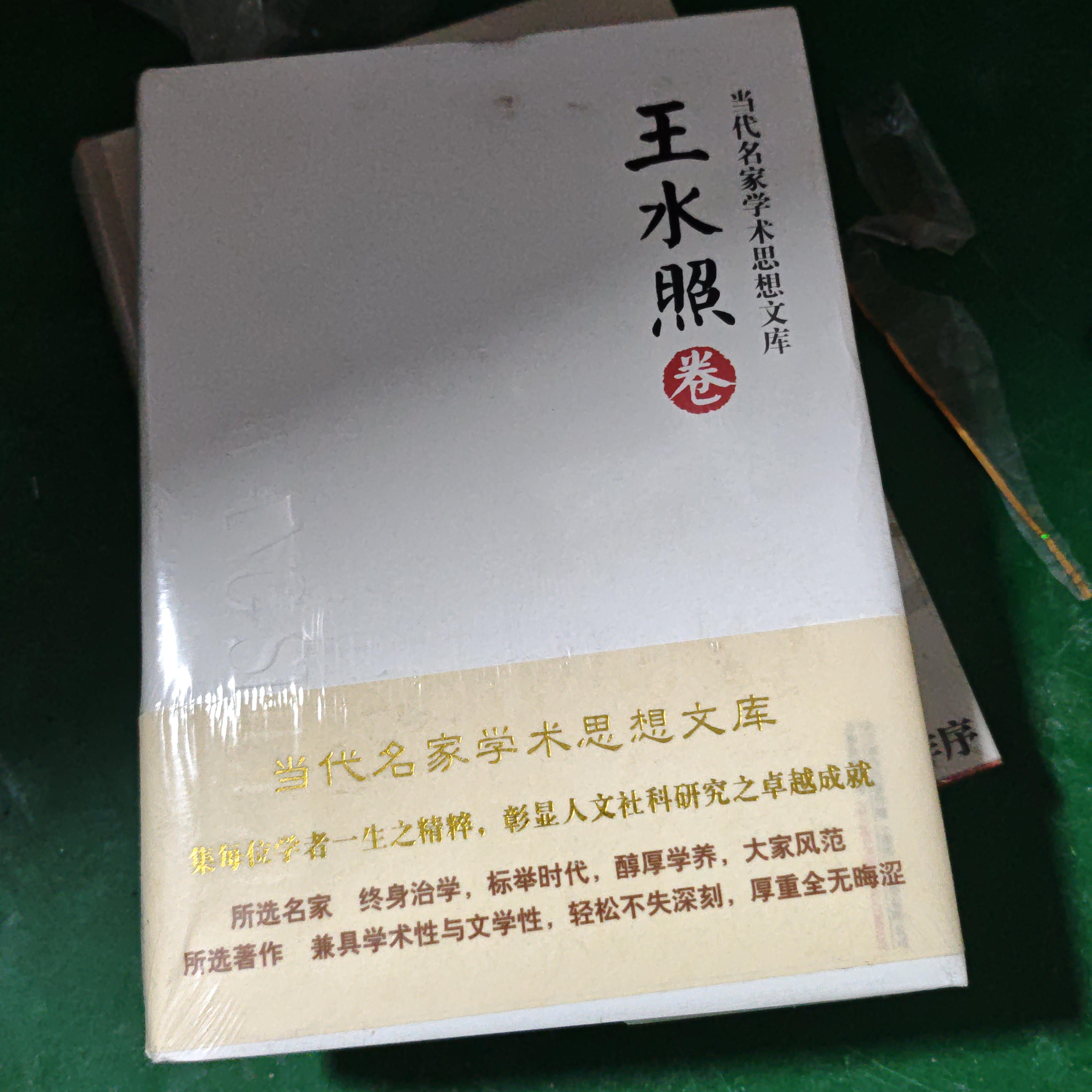 当代名家学术思想文库[ 王水照卷]