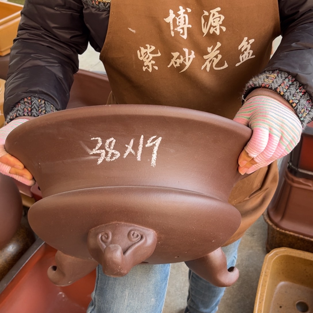 花盆紫砂盆景艺术