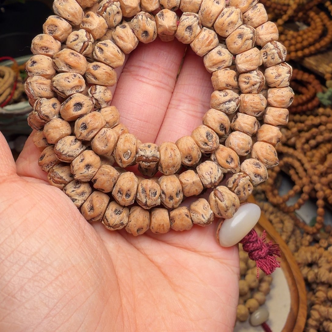 月***山吊坠柏香籽/百香籽