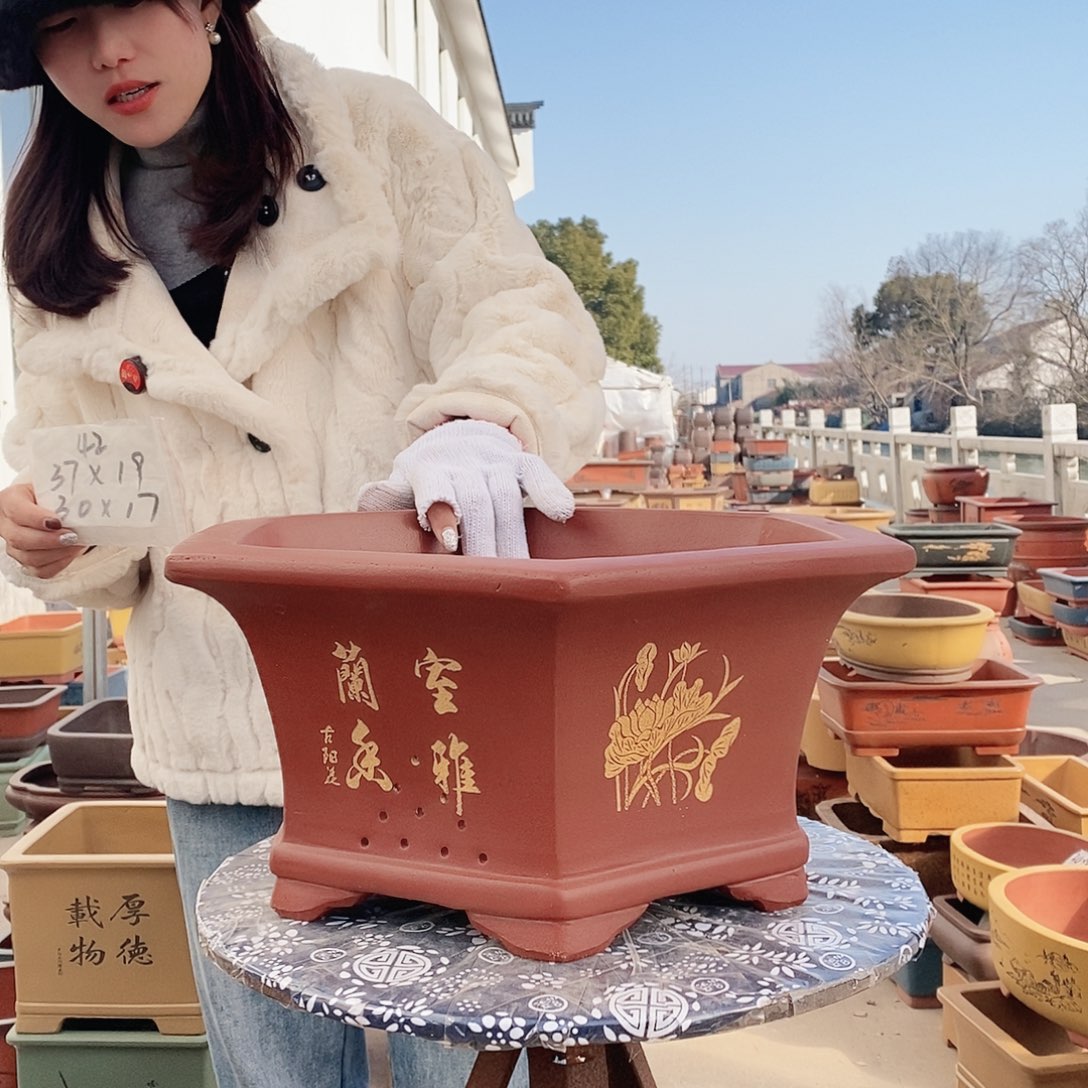 紫砂花盆紫砂花盆