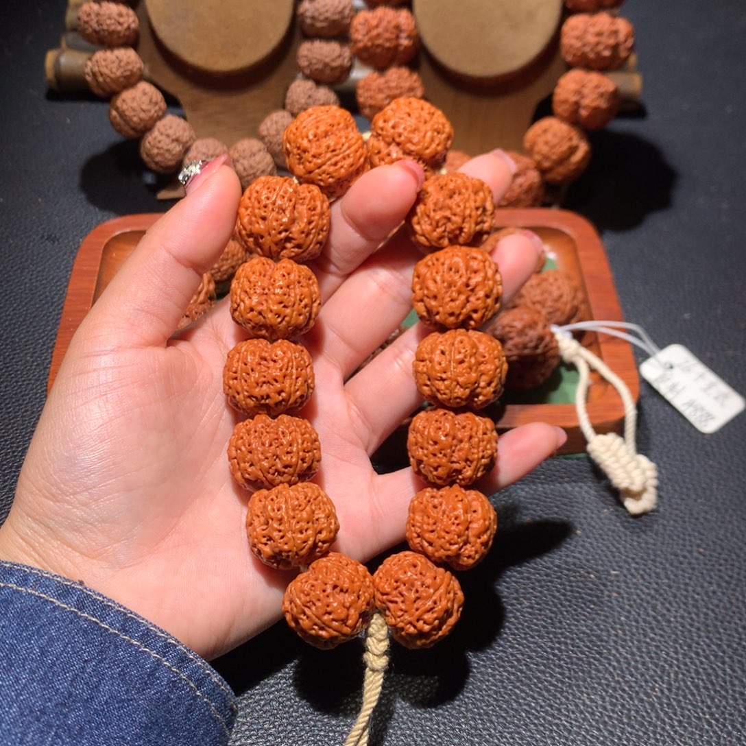 金刚菩提手串23尺寸多肉